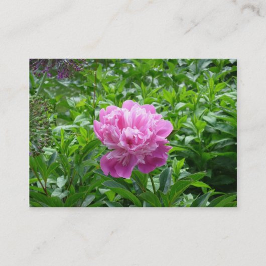 Pink Peony Visitekaartje (Voorkant)