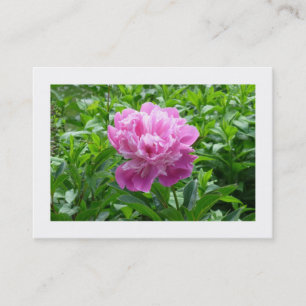 Pink Peony Visitekaartje