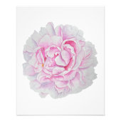 Pink Peony Watercolor Flower Poster (Voorkant)