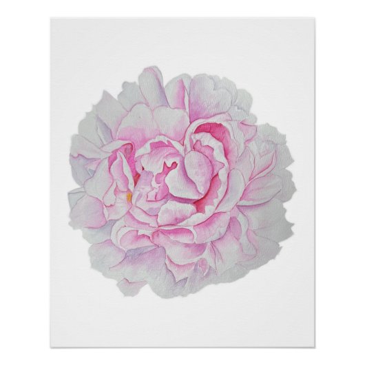 Pink Peony Watercolor Flower Poster (Voorkant)