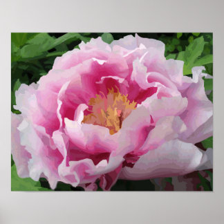 Pink Peony Waterverf Fine Floral Poster