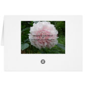 Pink Peony Wedding Table Place Card Sjabloon (Achterkant Horizontaal)
