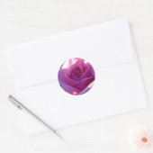 Pink Perfection Roos Sticker (Envelop)