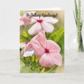 Pink Periwinkle Flowers Garden Art Verjaardag Kaar Kaart (Voorkant)