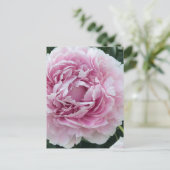 Pink Perky Peony foto Briefkaart (Staand voorkant)