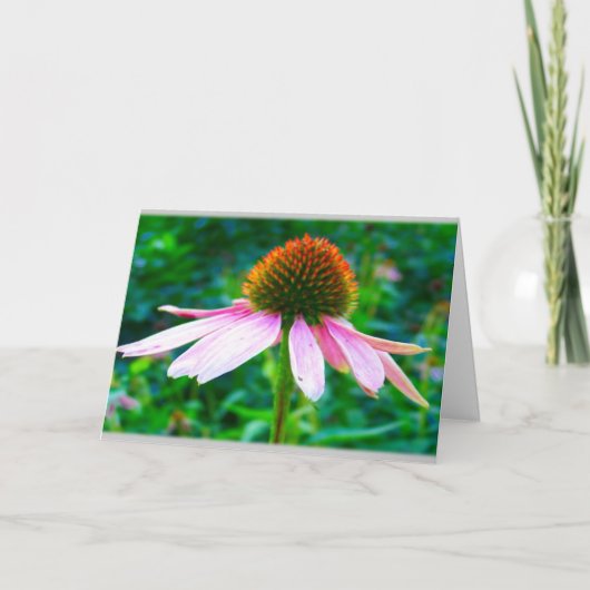 Pink Petals Floral Sympathie Card Kaart (Voorkant)