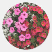 Pink Petunia Flowers Springtime Ronde Sticker (Voorkant)