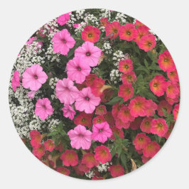 Pink Petunia Flowers Springtime Ronde Sticker