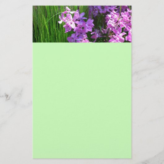 Pink Phlox en Grass Summer Floral Briefpapier (Voorkant)