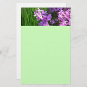 Pink Phlox en Grass Summer Floral Briefpapier (Voorkant / Achterkant)