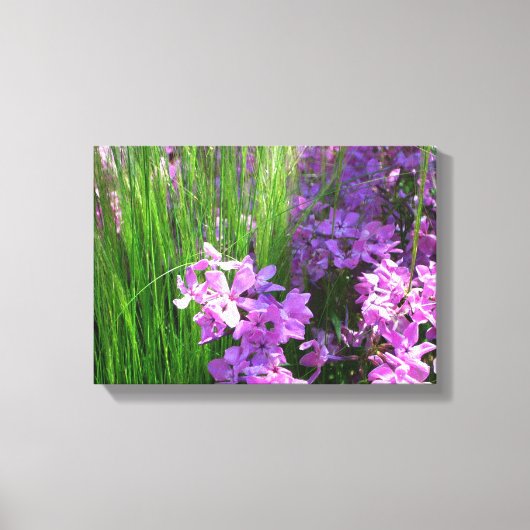 Pink Phlox en Grass Summer Floral Canvas Afdruk (Voorkant)