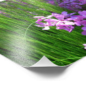 Pink Phlox en Grass Summer Floral Foto Afdruk (Hoek)