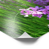 Pink Phlox en Grass Summer Floral Foto Afdruk (Hoek)