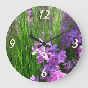 Pink Phlox en Grass Summer Floral Grote Klok