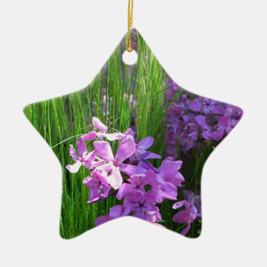Pink Phlox en Grass Summer Floral Keramisch Ornament (Voorkant)