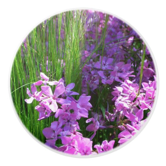 Pink Phlox en Grass Summer Floral Keramische Knop (Voorkant)