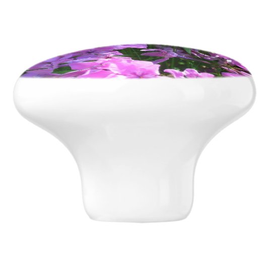 Pink Phlox en Grass Summer Floral Keramische Knop (Zijkant)