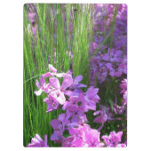 Pink Phlox en Grass Summer Floral Klembord (Achterkant)