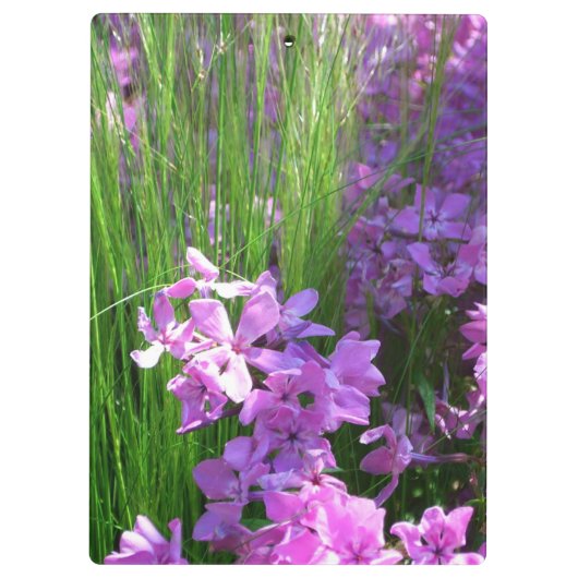 Pink Phlox en Grass Summer Floral Klembord (Achterkant)