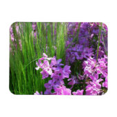 Pink Phlox en Grass Summer Floral Magneet (Horizontaal)