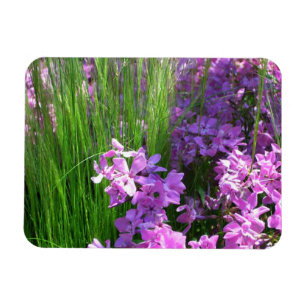 Pink Phlox en Grass Summer Floral Magneet