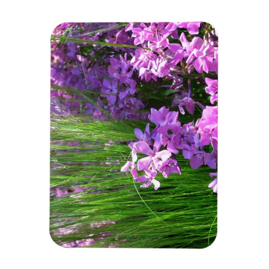 Pink Phlox en Grass Summer Floral Magneet (Verticaal)