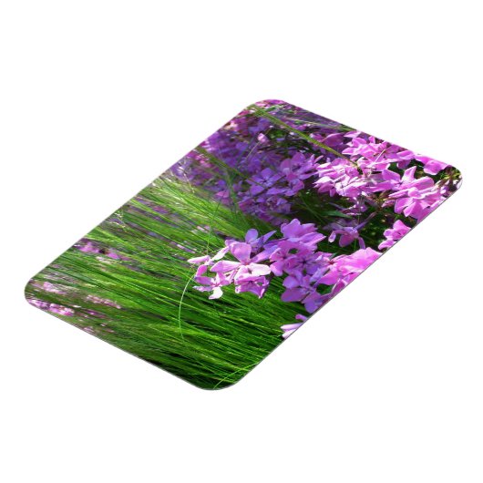 Pink Phlox en Grass Summer Floral Magneet (Linkerzijde)