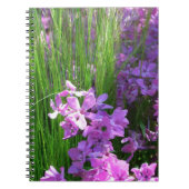 Pink Phlox en Grass Summer Floral Notitieboek (Voorkant)