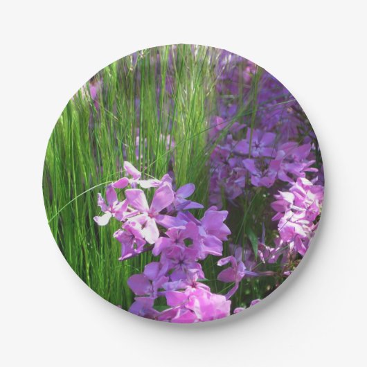 Pink Phlox en Grass Summer Floral Papieren Bordje (Voorkant)
