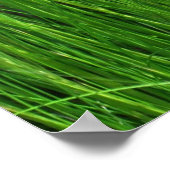 Pink Phlox en Grass Summer Floral Poster (Hoek)