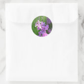 Pink Phlox en Grass Summer Floral Ronde Sticker (Tas)