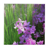 Pink Phlox en Grass Summer Floral Tegeltje (Voorkant)