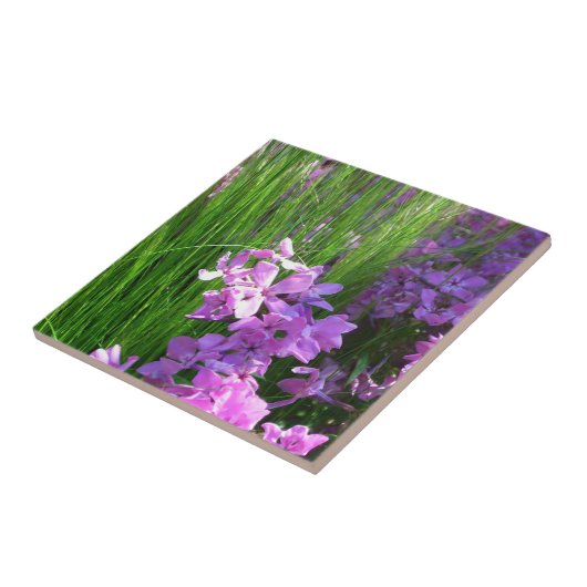 Pink Phlox en Grass Summer Floral Tegeltje (Zijkant)