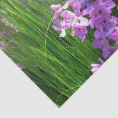 Pink Phlox en Grass Summer Floral Tissuepapier (Detail)