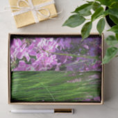 Pink Phlox en Grass Summer Floral Tissuepapier (Geschenk)
