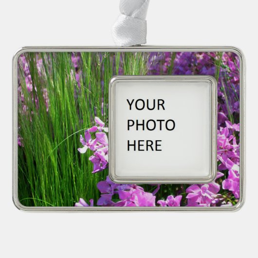 Pink Phlox en Grass Summer Floral Verzilverd Omlijst Ornament (Voorkant)