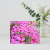 Pink Phlox Flowers Briefkaart (Staand voorkant)