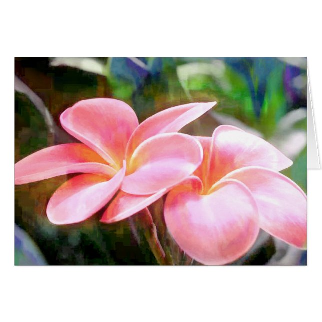 Pink Plumeria (Voorkant Horizontaal)