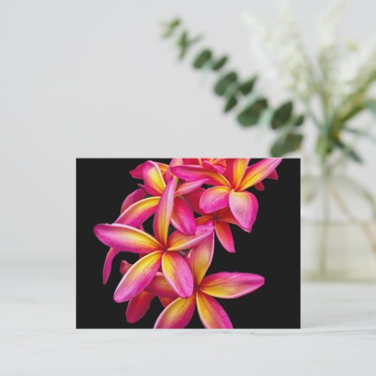 Pink Plumeria Floral Foto Briefkaart (Staand voorkant)
