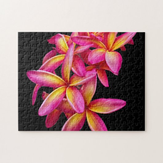  Pink Plumeria Floral Foto Legpuzzel (Horizontaal)