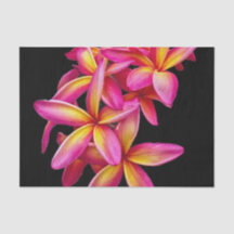  Pink Plumeria Floral Foto