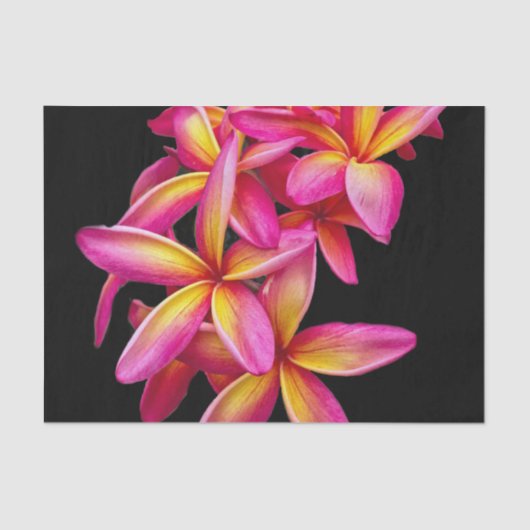  Pink Plumeria Floral Foto Tissuepapier (Voorkant)