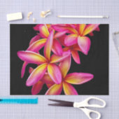  Pink Plumeria Floral Foto Tissuepapier (Craft)