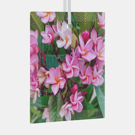 Pink Plumeria Glas Ornament (Voorkant Rechts)