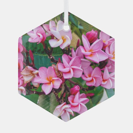 Pink Plumeria Glas Ornament (Voorkant)