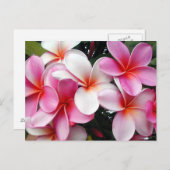 Pink Plumeria Hawaiian Briefkaart (Voorkant / Achterkant)