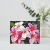 Pink Plumeria Hawaiian Briefkaart (Staand voorkant)