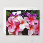 Pink Plumeria Hawaiian Briefkaart (Voorkant / Achterkant)