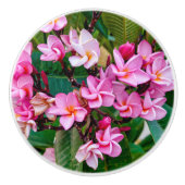 Pink Plumeria Keramische Knop (Voorkant)