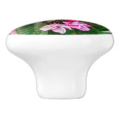 Pink Plumeria Keramische Knop (Zijkant)